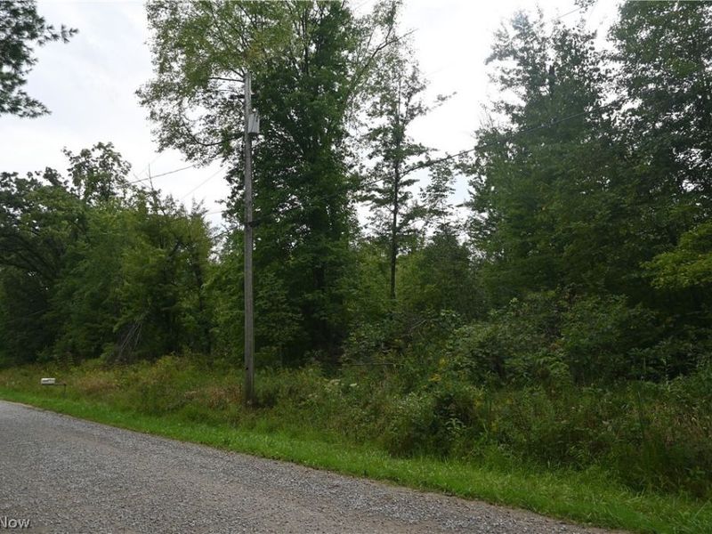 Lewis Road, Pierpont, OH 44082 Photo 1