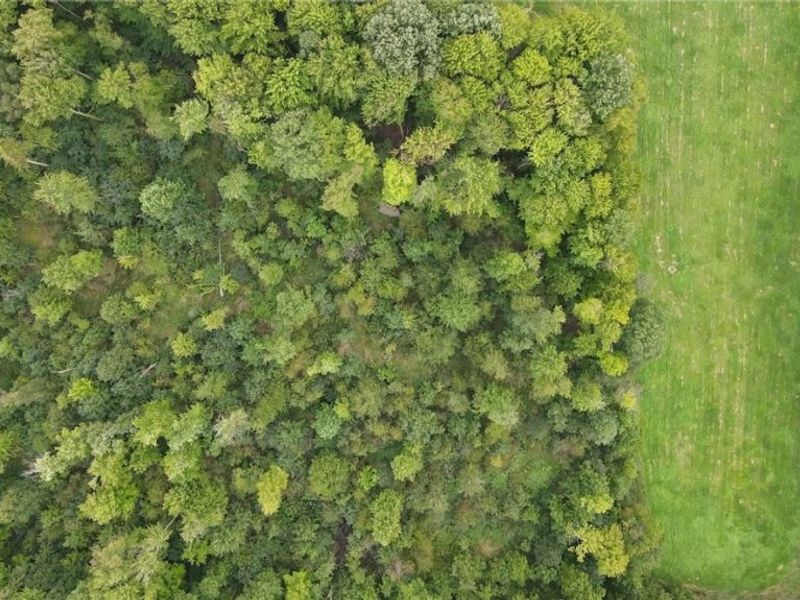 Lewis Road, Pierpont, OH 44082 Photo 10
