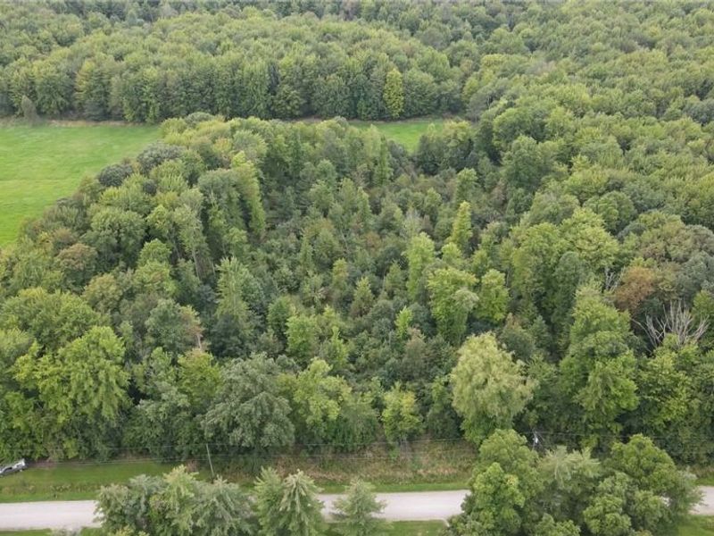 Lewis Road, Pierpont, OH 44082 Photo 11
