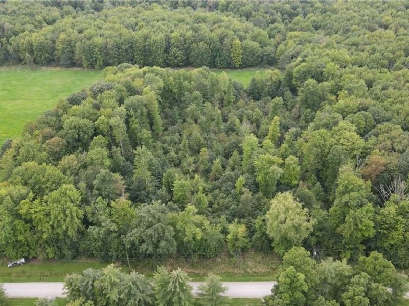 Lewis Road, Pierpont, OH 44082 Photo 12