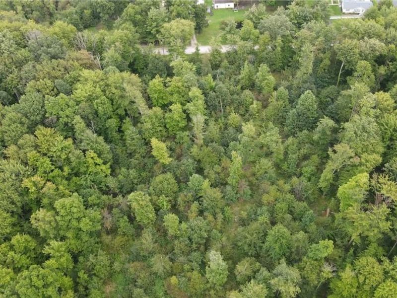 Lewis Road, Pierpont, OH 44082 Photo 13