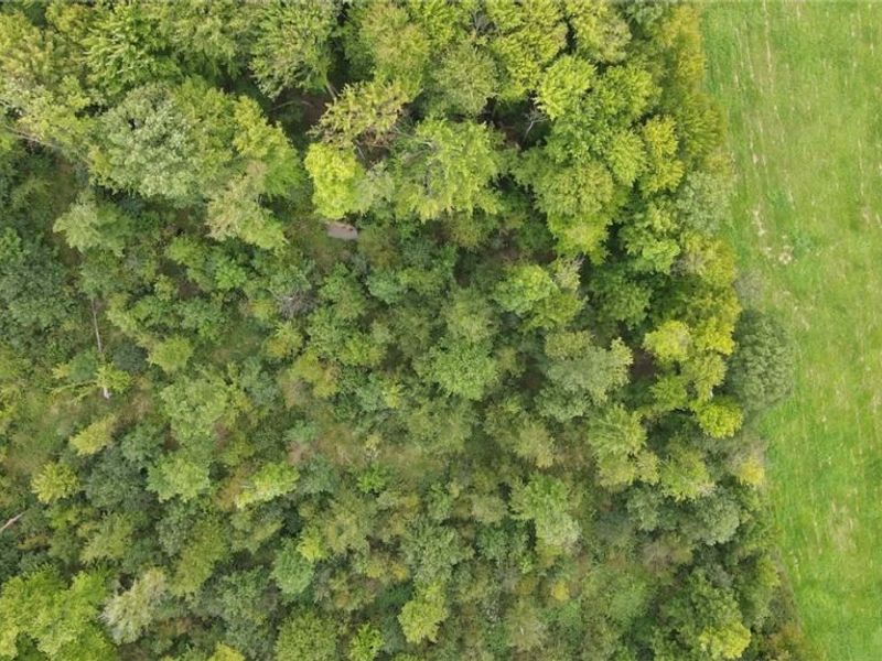 Lewis Road, Pierpont, OH 44082 Photo 14
