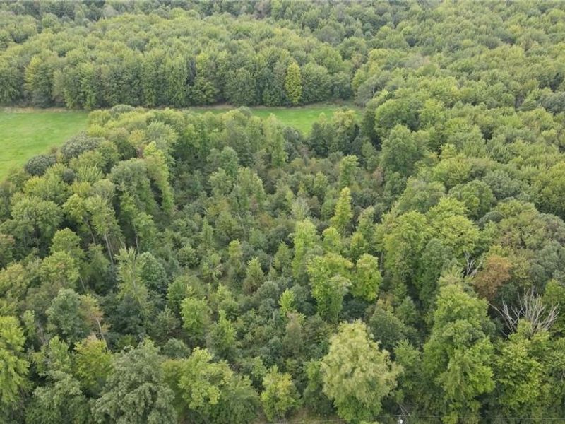 Lewis Road, Pierpont, OH 44082 Photo 15