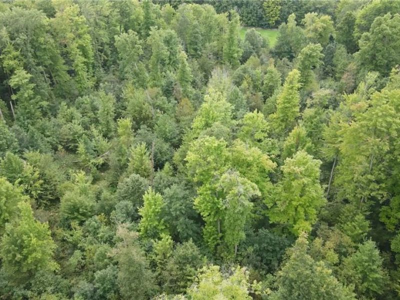 Lewis Road, Pierpont, OH 44082 Photo 16