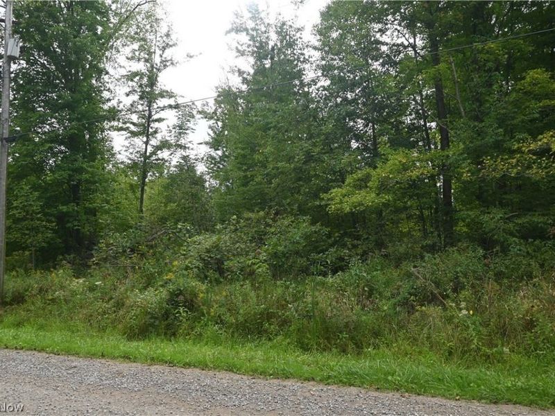 Lewis Road, Pierpont, OH 44082 Photo 2