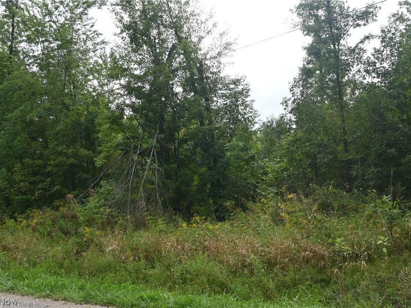 Lewis Road, Pierpont, OH 44082 Photo 3