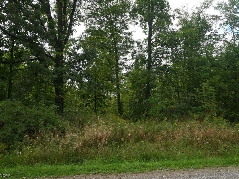 Lewis Road, Pierpont, OH 44082 Photo 4
