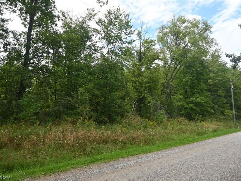 Lewis Road, Pierpont, OH 44082 Photo 5