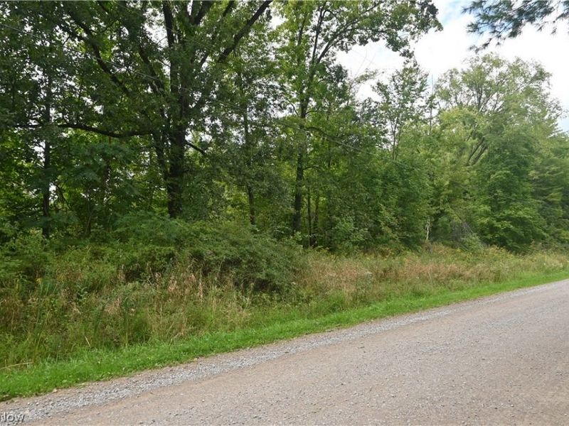 Lewis Road, Pierpont, OH 44082 Photo 6