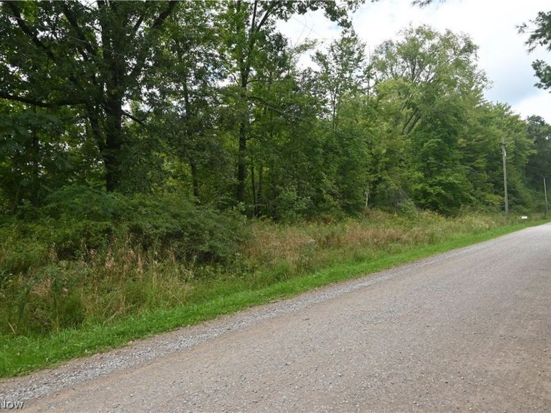 Lewis Road, Pierpont, OH 44082 Photo 7