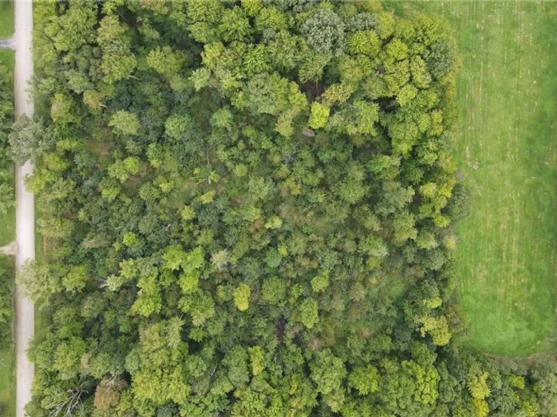 Lewis Road, Pierpont, OH 44082 Photo 9