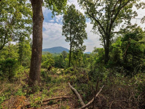 TBD POUNDING BRANCH RD, AFTON, VA 22920