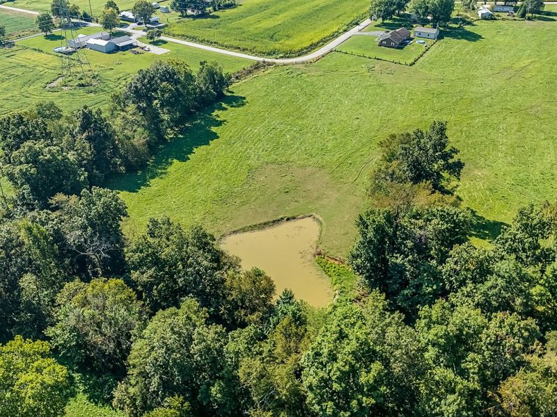 301 Greens Bottom Road, Carrollton, KY 41008 Photo 42