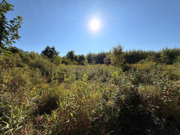 TBD 290th Street , Onamia, MN 56359
