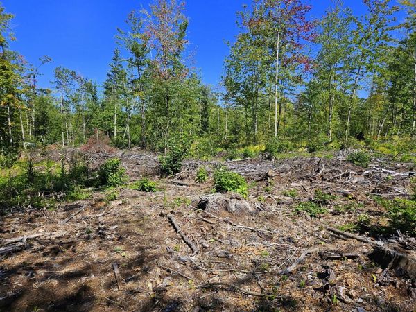 Lot 33-2 Cape Cod Hill Road , New Sharon, ME 04955
