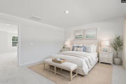 315 Red Sanddust Court  photo 4