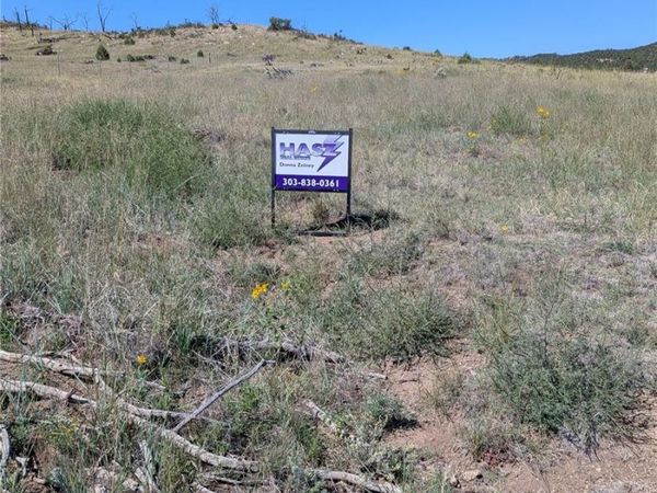 1263 23rd Trail, Cotopaxi, CO 81223