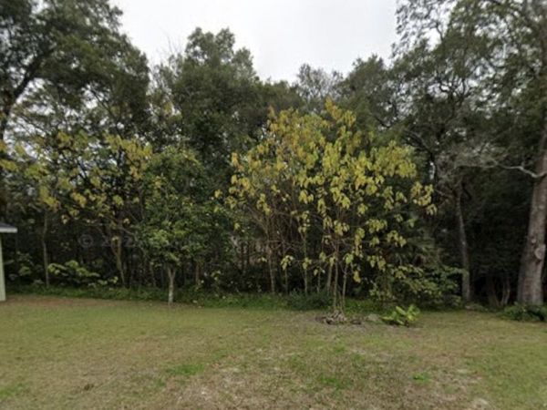 0 NITRAM Avenue, Jacksonville, FL 32211