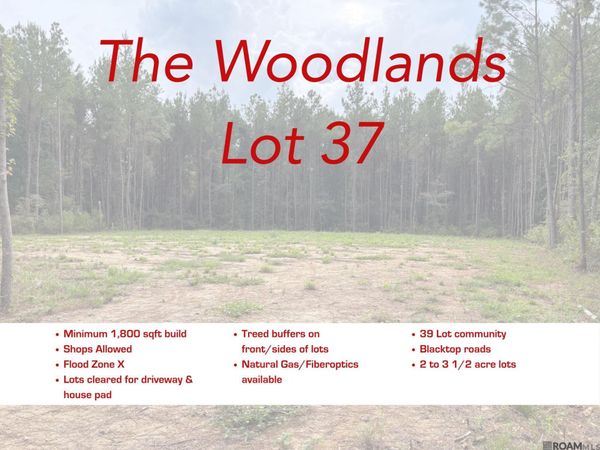 17706 Copper Pass, Livingston, LA 70754