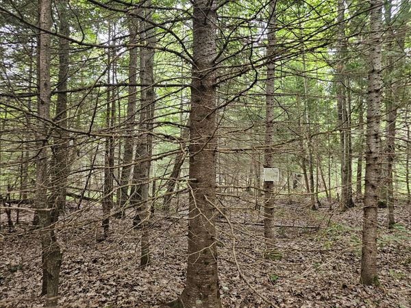 00 W County Road H-40, Trout Lake, MI 49793