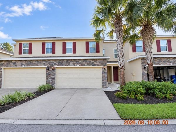 13217 CANOPY CREEK DRIVE , TAMPA, FL 33625