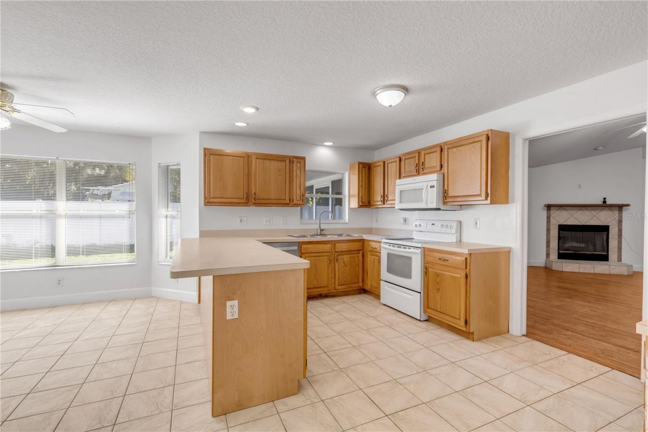 3205 Mango Tree Drive, Edgewater, FL 32141 Photo