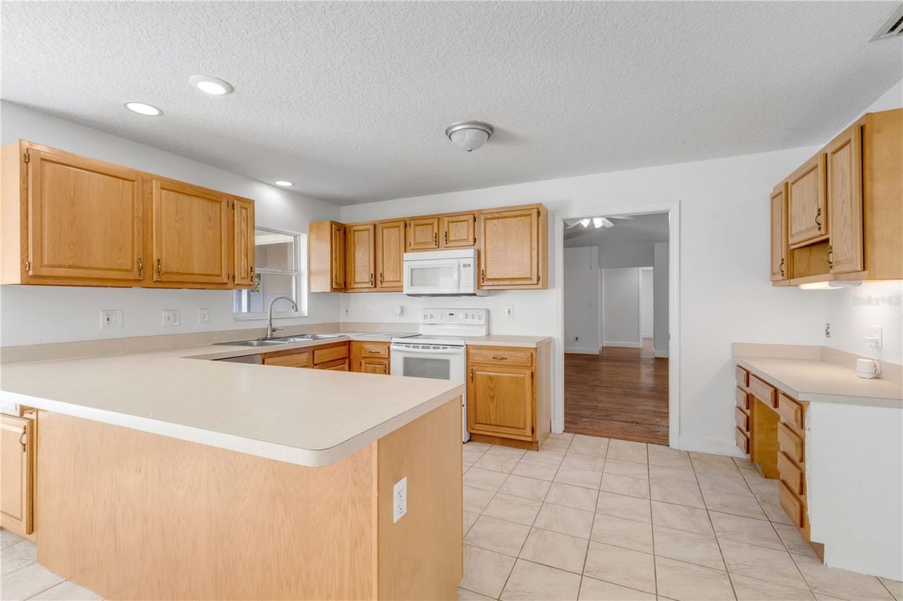 3205 Mango Tree Drive, Edgewater, FL 32141 Photo