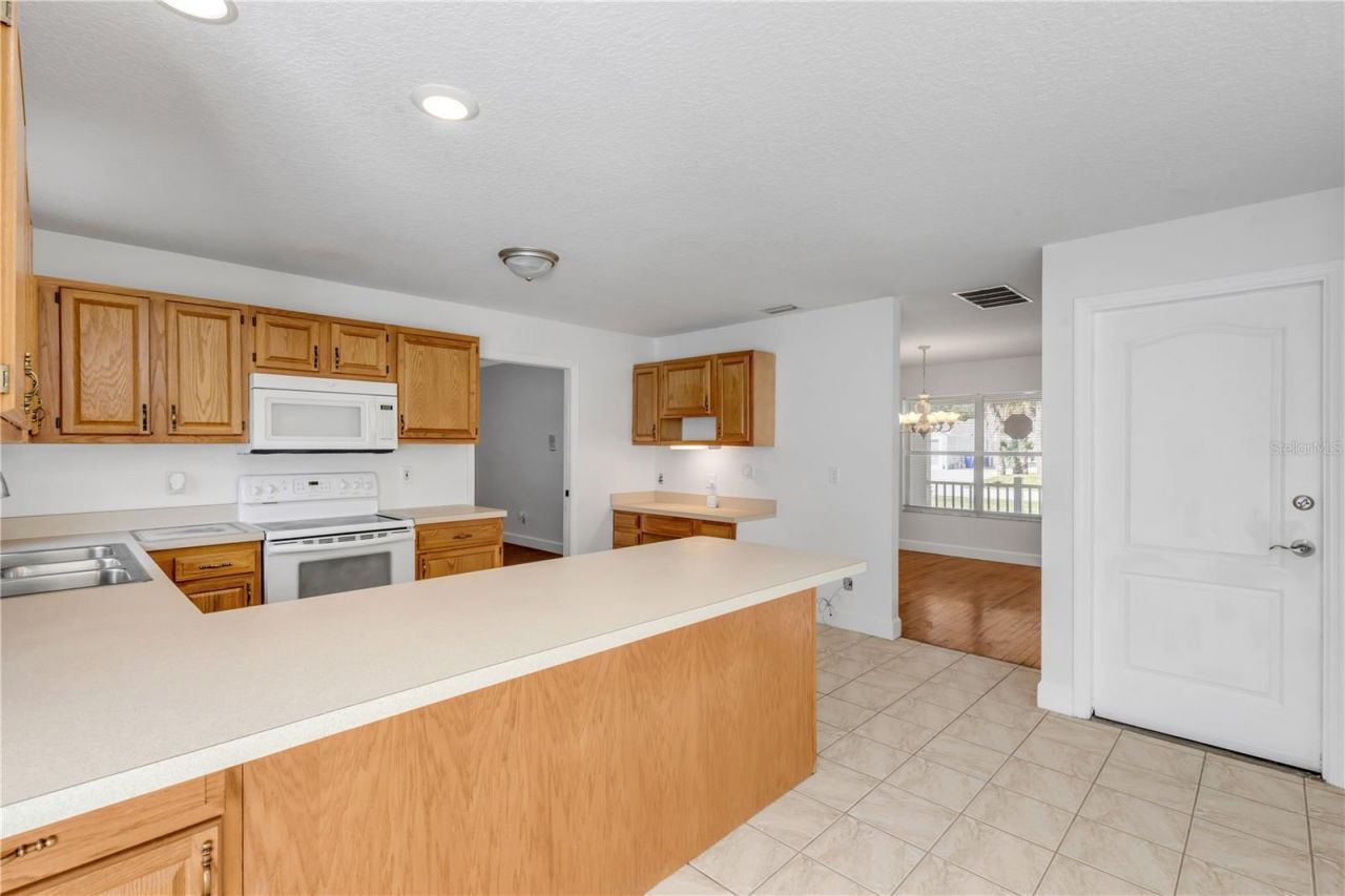 3205 Mango Tree Drive, Edgewater, FL 32141 Photo