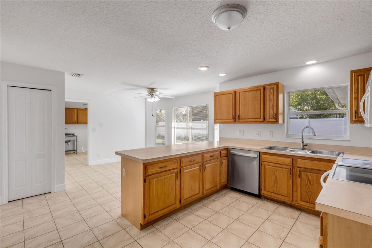 3205 Mango Tree Drive, Edgewater, FL 32141 Photo