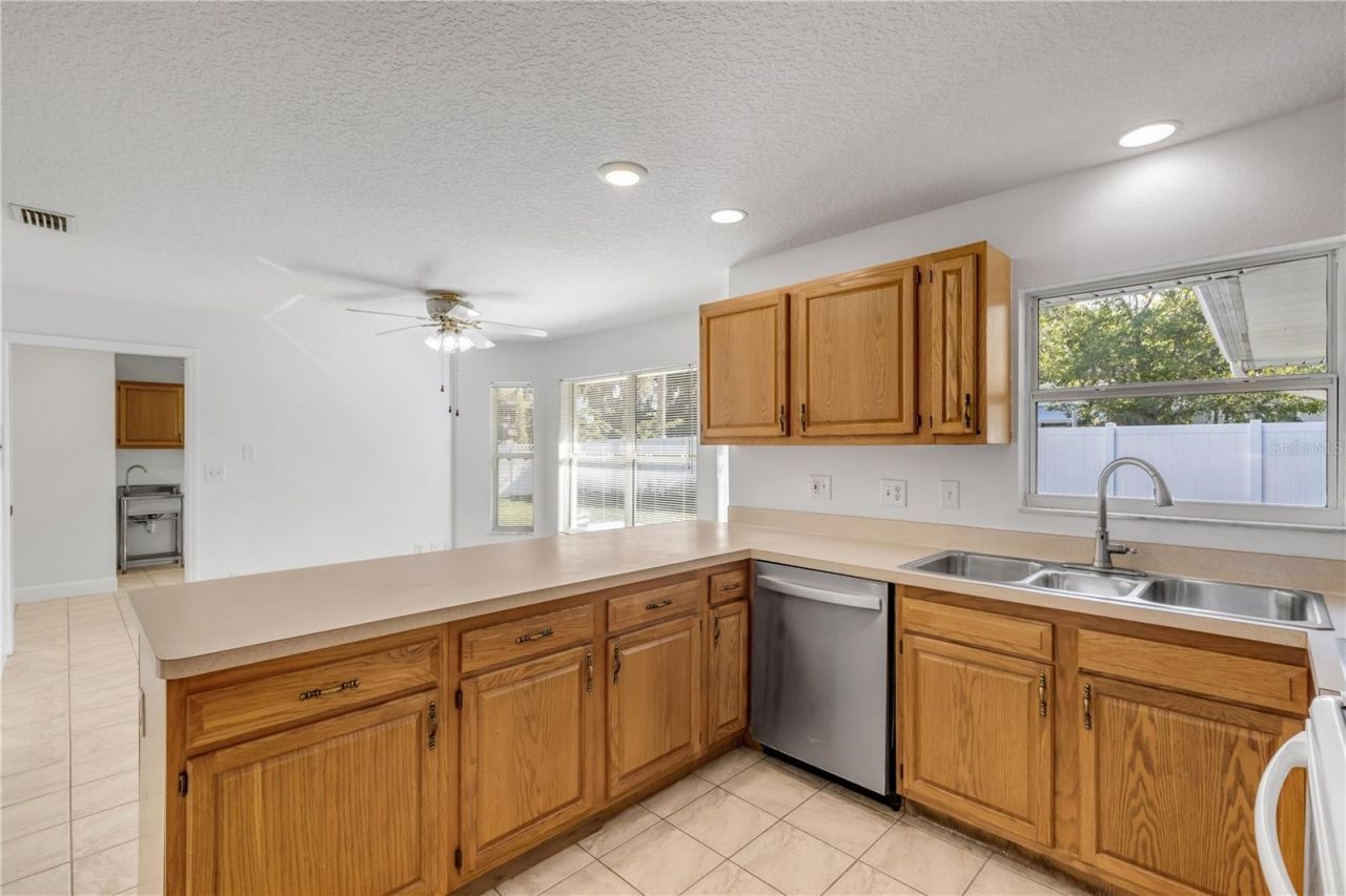 3205 Mango Tree Drive, Edgewater, FL 32141 Photo