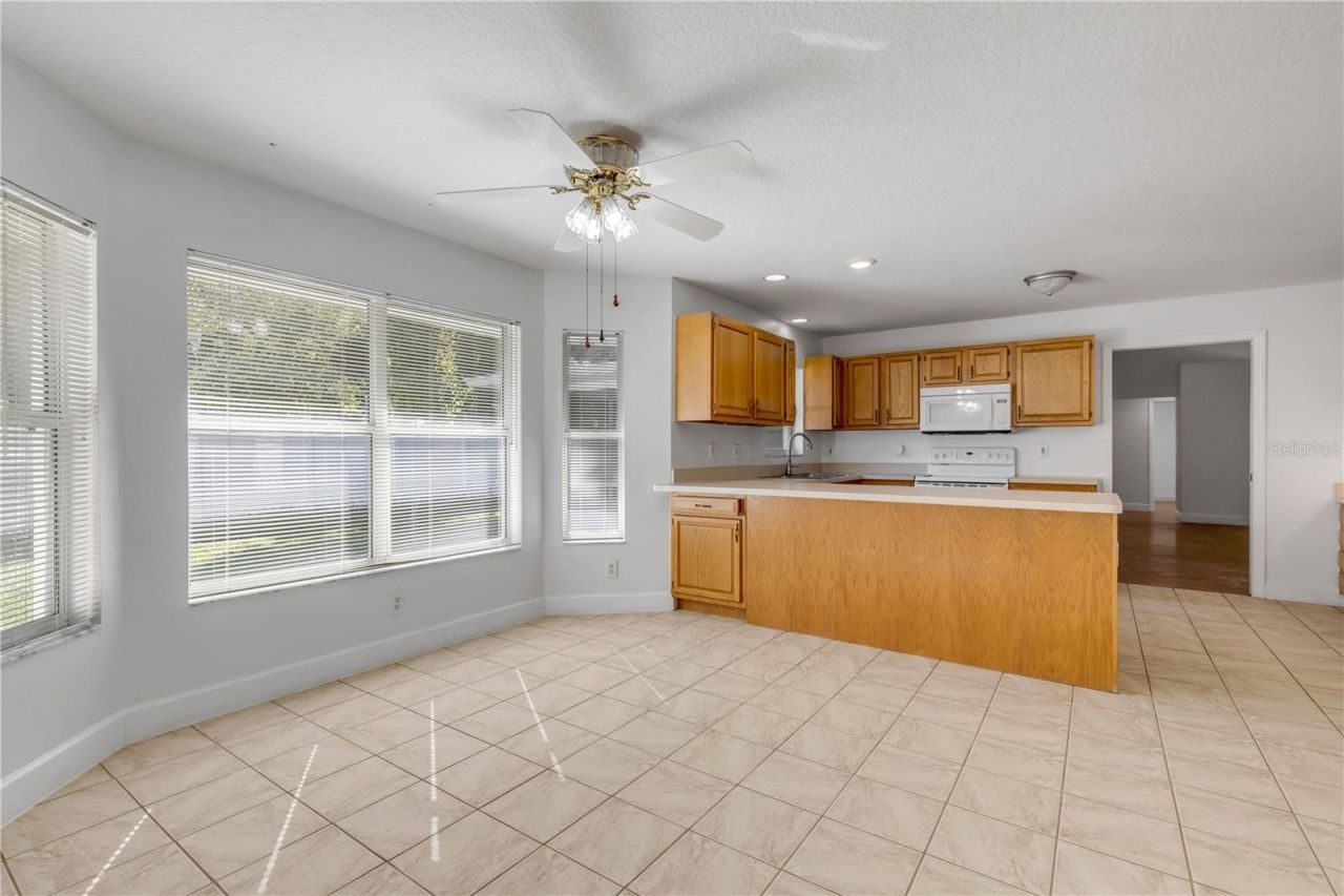 3205 Mango Tree Drive, Edgewater, FL 32141 Photo