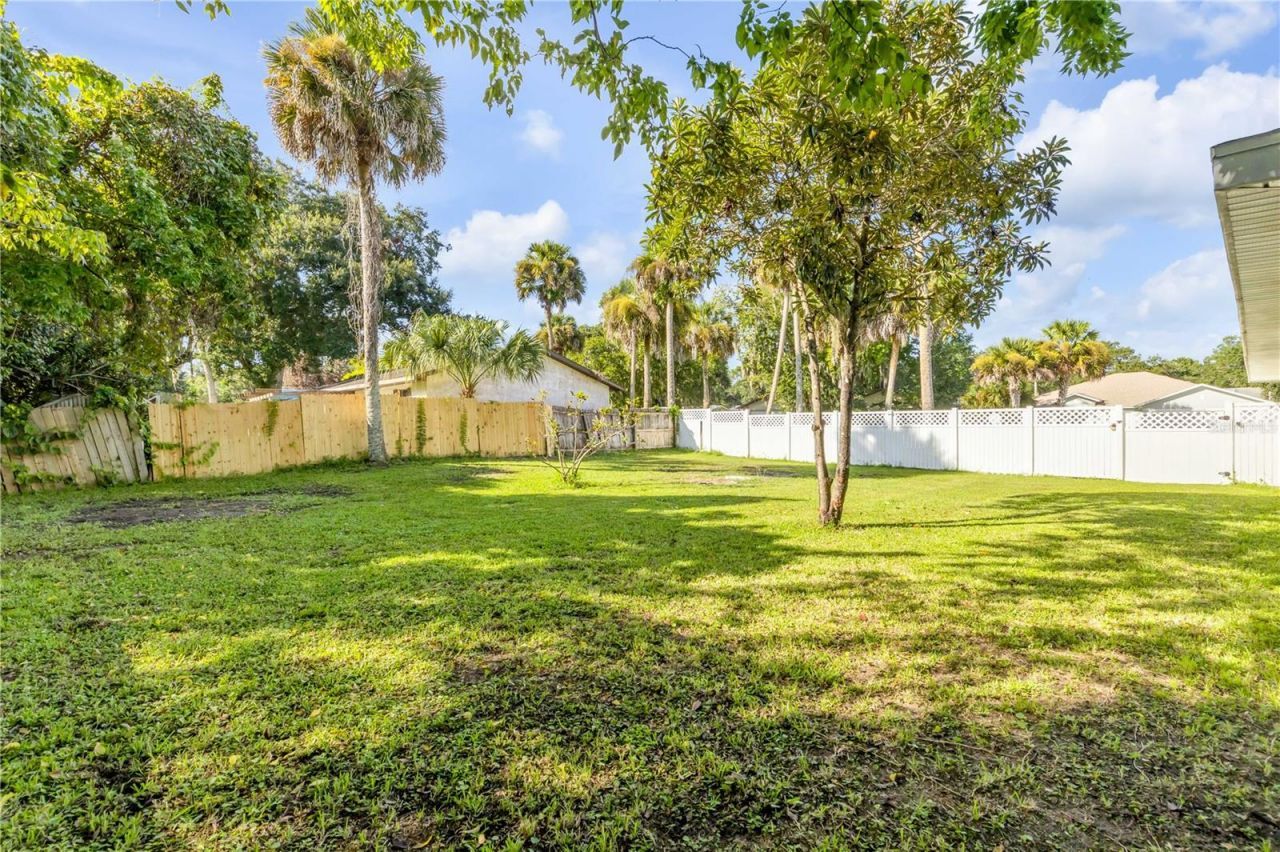 3205 Mango Tree Drive, Edgewater, FL 32141 Photo