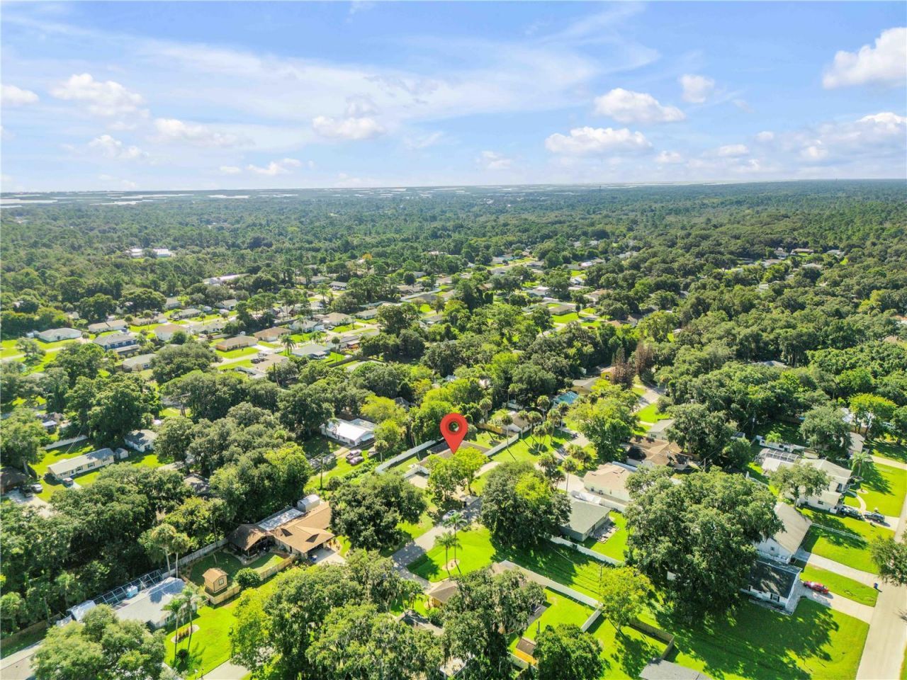 3205 Mango Tree Drive, Edgewater, FL 32141 Photo