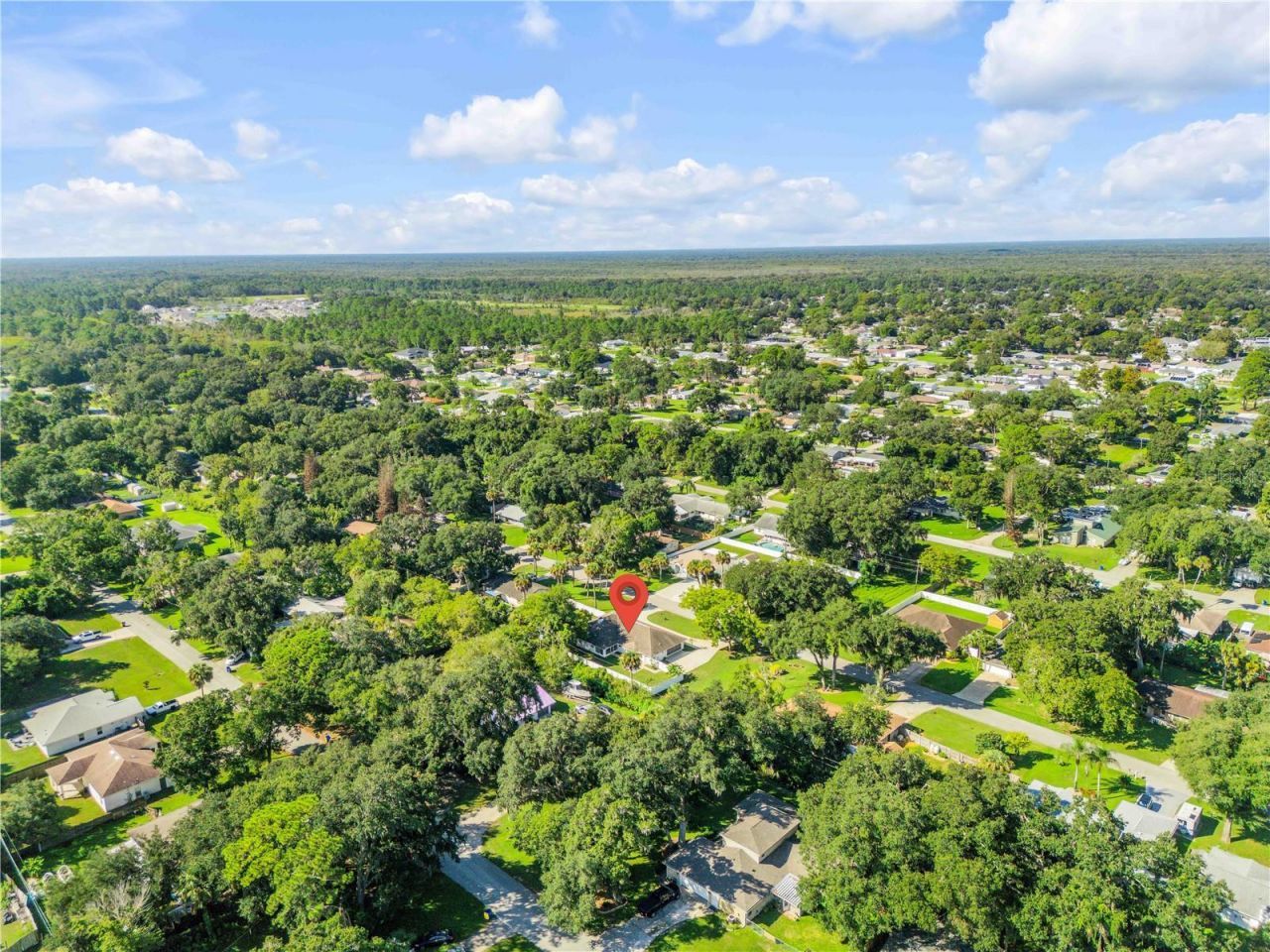 3205 Mango Tree Drive, Edgewater, FL 32141 Photo