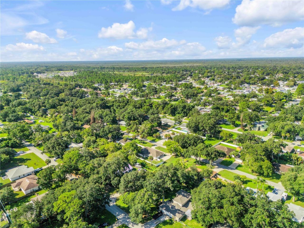 3205 Mango Tree Drive, Edgewater, FL 32141 Photo
