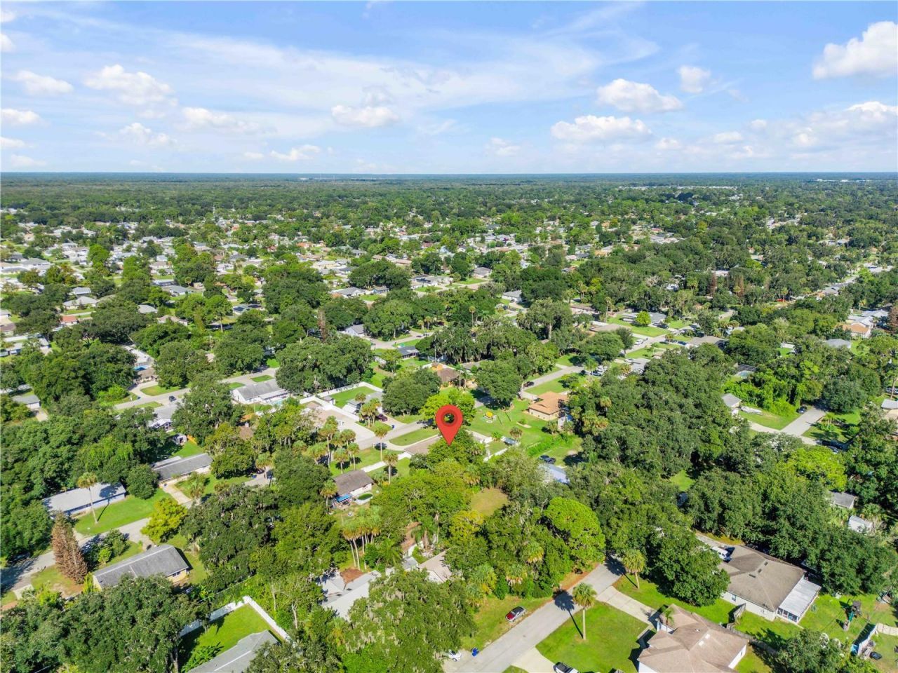 3205 Mango Tree Drive, Edgewater, FL 32141 Photo