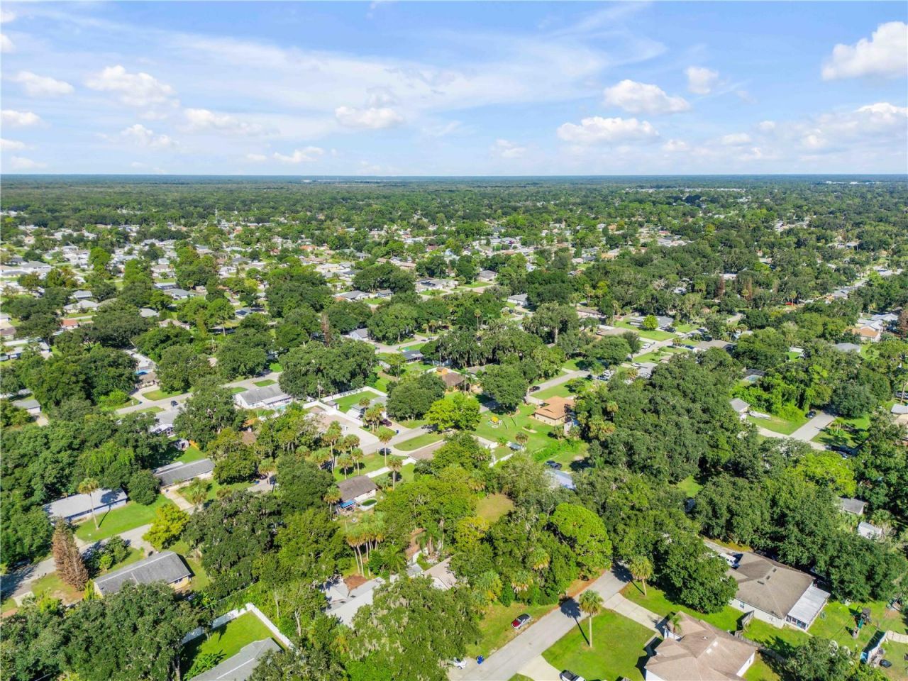 3205 Mango Tree Drive, Edgewater, FL 32141 Photo
