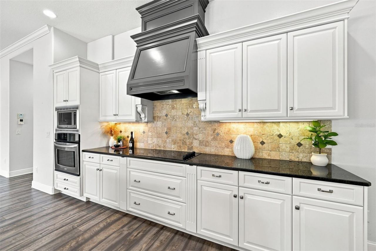 10517 Baracoa Court, Trinity, FL 34655 Photo