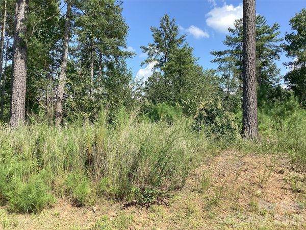 3292 Pyramid Peak Trail , Connelly Springs, NC 28612