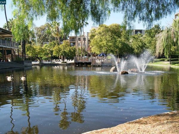 320 N Civic Dr, Unit 205, Walnut Creek, CA 94596