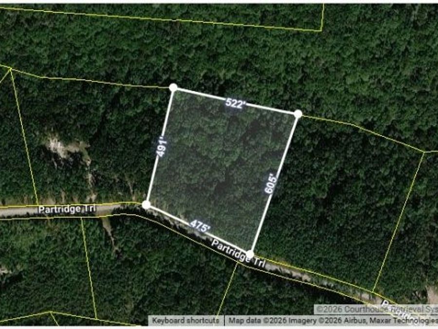 Property Image 8