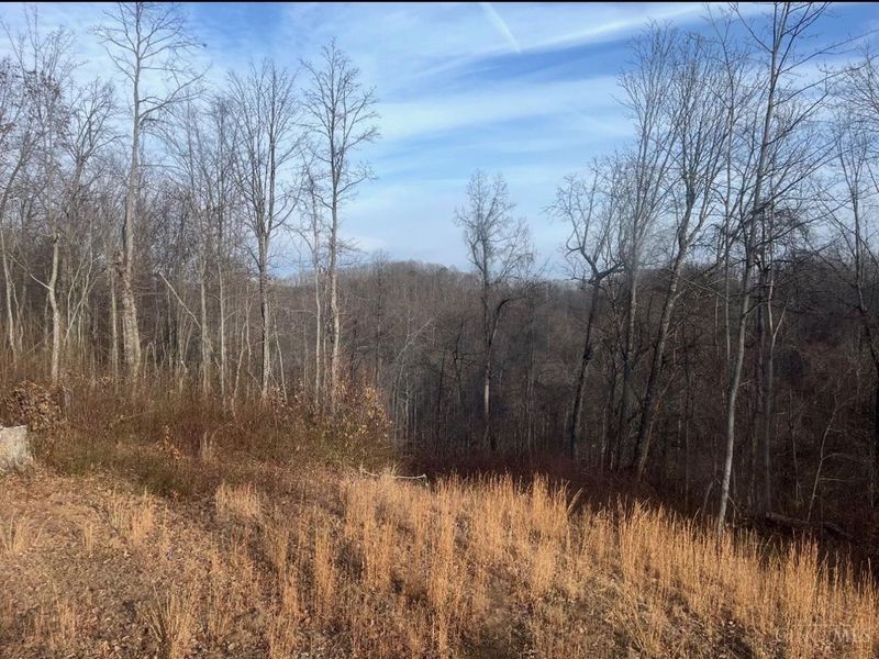0 Upper Twin Creek Road, Nile Township, OH 45616 Photo 1