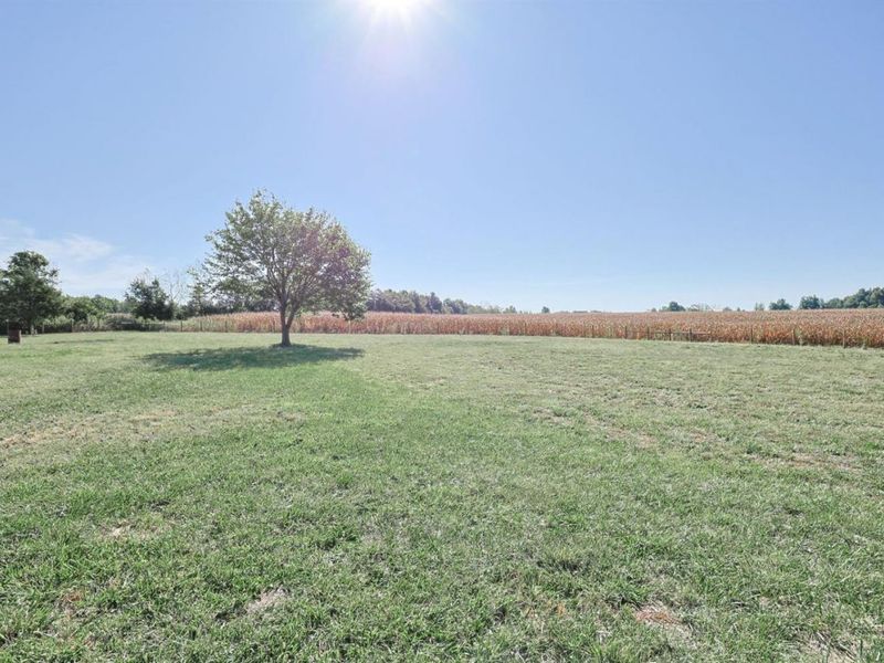 1406 Rosehill Road, Lewis Township, OH 45130 Photo 30