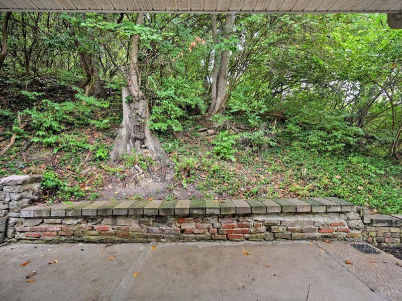 647 Delta Avenue, Cincinnati, OH 45226 Photo 61