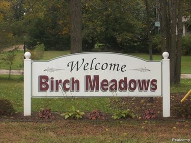 0000 Birch Meadows Lane, Handy Township, Mi 48836