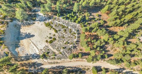 2960 Jacks Valley, Genoa, NV 89411 Photo