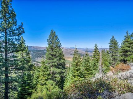 0 Jacks Valley, Genoa, NV 89411 Photo