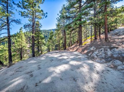 0 Jacks Valley, Genoa, NV 89411 Photo