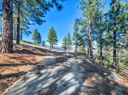 0 Jacks Valley, Genoa, NV 89411 Photo