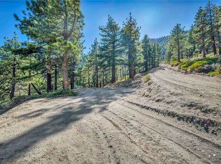 0 Jacks Valley, Genoa, NV 89411 Photo